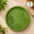 9-Inch Siali Leaf Plates