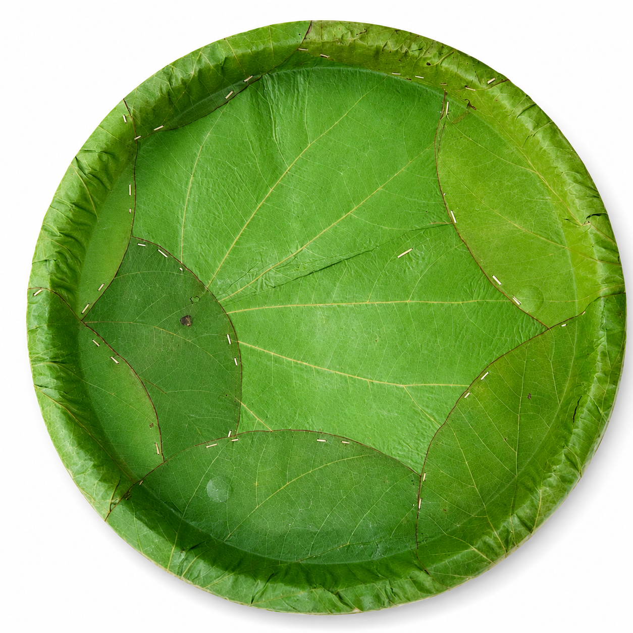 14-Inch Premium Siali Leaf Plates